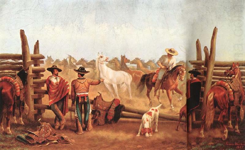 Vaqueros roping horses in a corral, James Walker